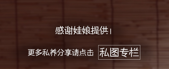 BJD SD 人偶 娃娃 BJD古风 BJD三分
